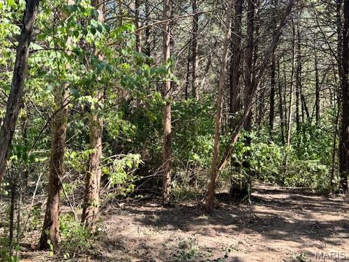 113 Elizabeth Ct, Wright City, MO, 63390-2818 | Card Image