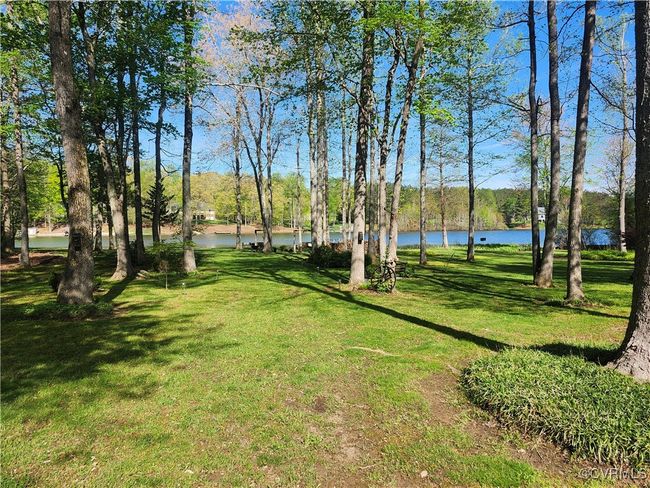 Back yard | Image 20