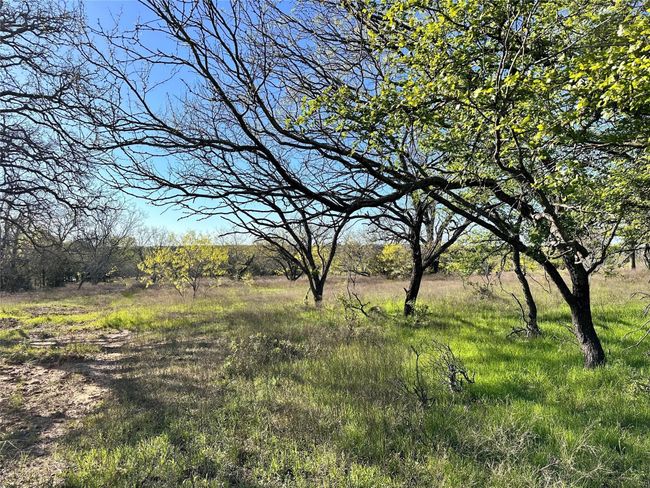 Lot 13 Cr 127, Home with 0 bedrooms, 0 bathrooms and null parking in Carlton TX | Image 26