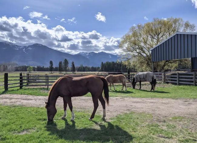 Stable with a mountain view and a view of rural / pastoral area | Image 11
