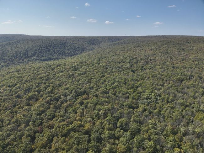 0 Forest Rd, Home with 0 bedrooms, 0 bathrooms and null parking in Boswell PA | Image 12