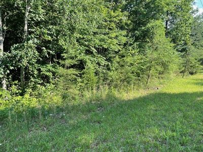 Lot 1 Eagle Nest Rd, Home with 0 bedrooms, 0 bathrooms and null parking in Mcminnville TN | Image 2