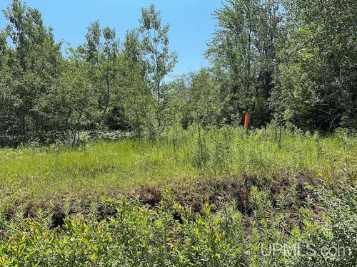 Parcel A Webb Road, Grand Marais, MI, 49839 | Card Image