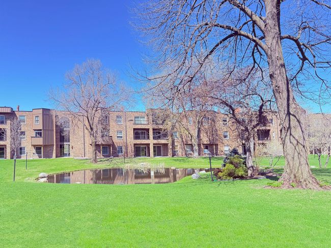 Views of the central courtyard from your balcony. Pond with ducks | Image 23