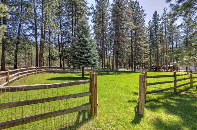 View of yard | Image 52