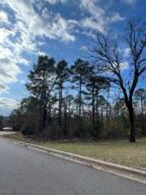 402 Castlegate Loop, Russellville, AR, 72802-9029 | Card Image