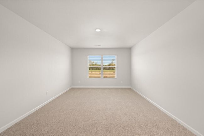 Halton | Image 36