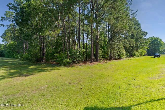 493 N Nc Highway 177, Home with 0 bedrooms, 0 bathrooms and null parking in Hamlet NC | Image 34