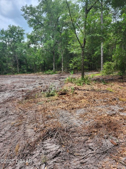 147 Heathton St, Georgetown, FL, 32139-2811 | Card Image