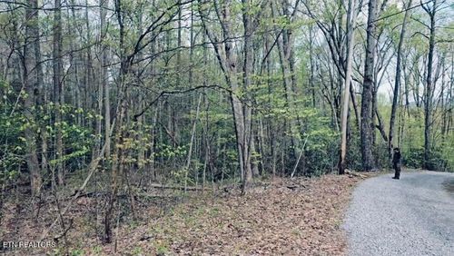 4046 Forest Trail Drive, Sevierville, TN, 37876 | Card Image