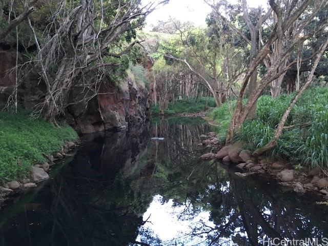 Land in Haleiwa 2