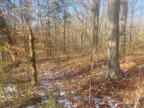 2 Cumberland Xing, Monticello, KY, 42633-9001 | Card Image