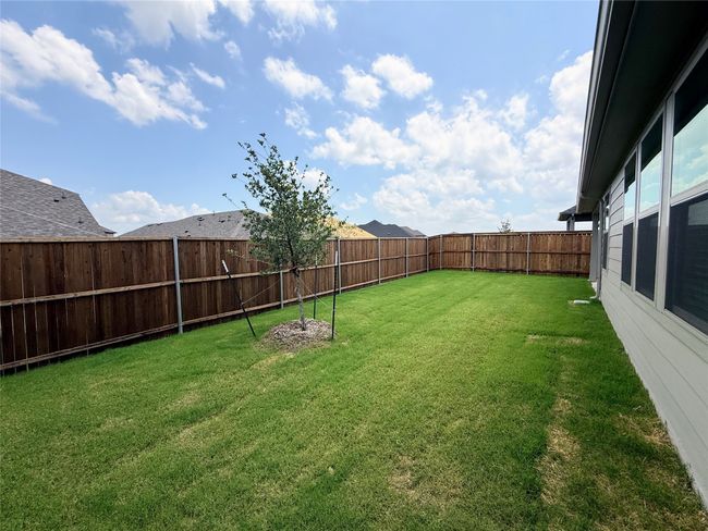 View of yard | Image 39