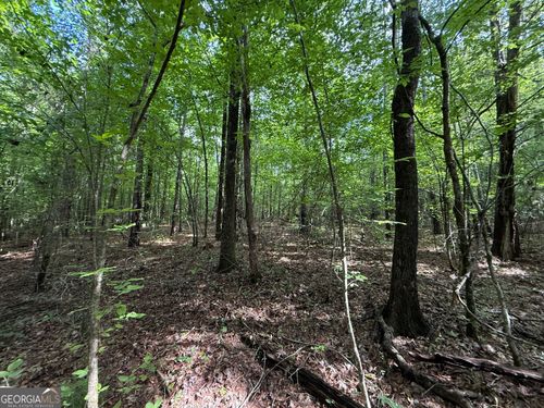 lot-1-9.07 ACRES E Crusselle St, Roberta, GA, 31078 | Card Image