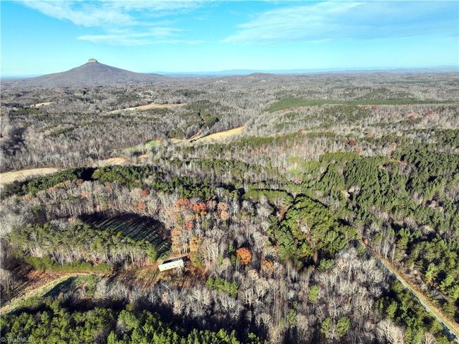 Lot 2- 0 Bowen Rd, Home with 0 bedrooms, 0 bathrooms and null parking in Pinnacle NC | Image 13