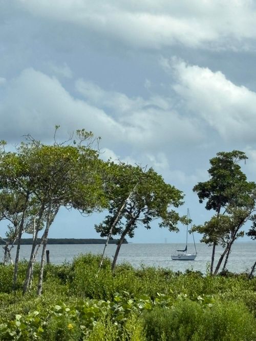 unit-105-27 Harbour Isle Dr W, Fort Pierce, FL, 34949-2779 | Card Image