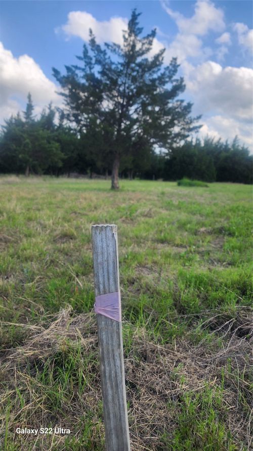 147 W Woodell Drive, Glenn Heights, TX, 75154 | Card Image