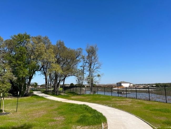 Walking Trails | Image 6