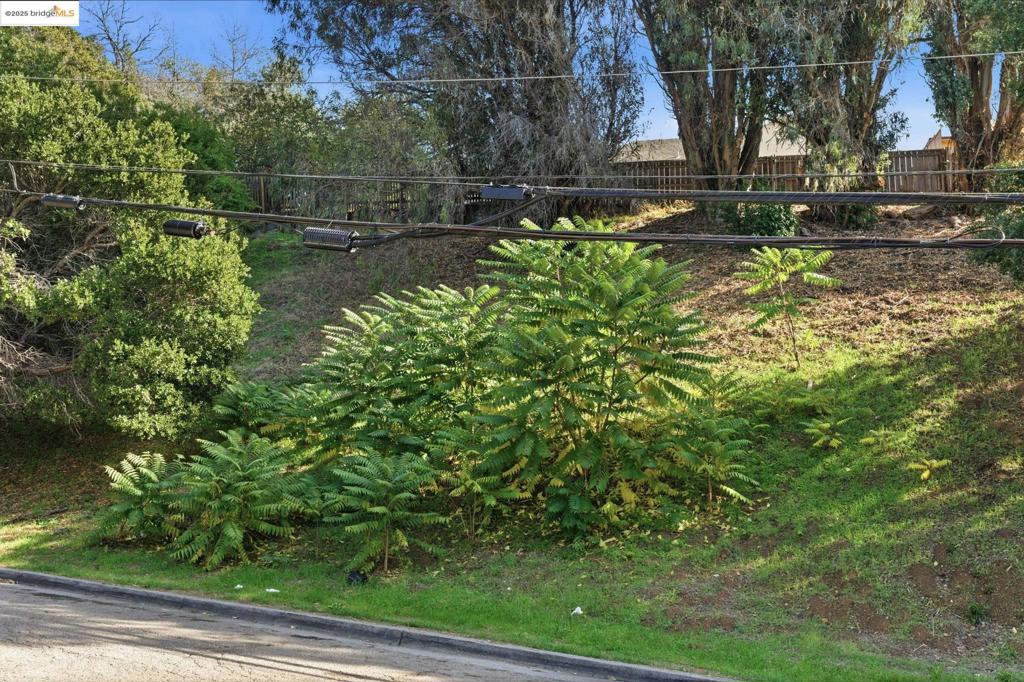 Land in Oakland 3