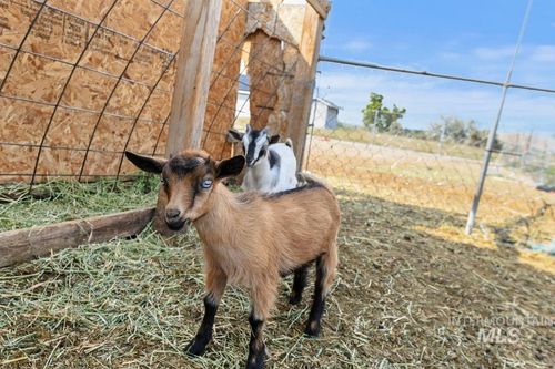 8188 N Pennsylvania Ave, Fruitland, ID, 83619-3537 | Card Image