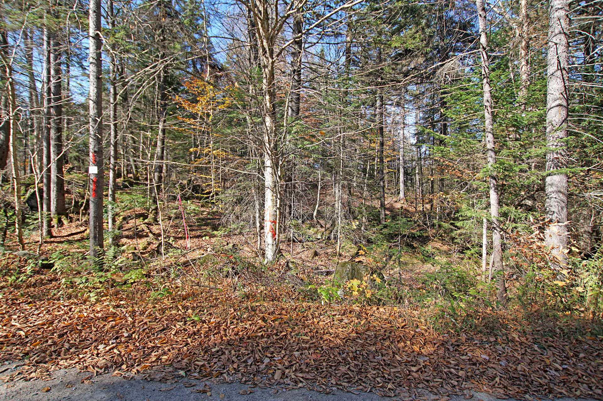Land in Wentworth