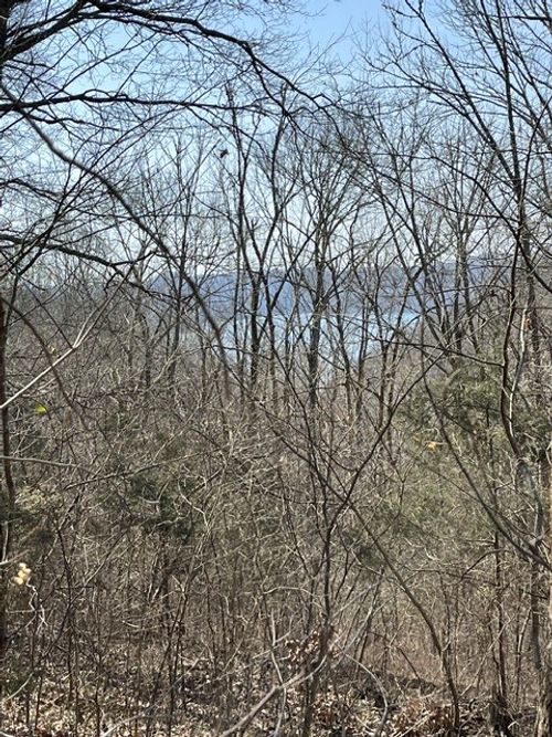 21 Harbor Pointe Dr, Silver Point, TN, 38582 | Card Image