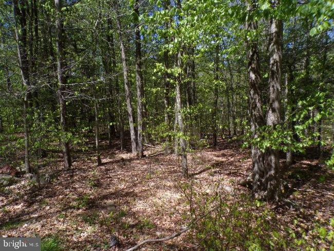 132 Beechnut Ln, House other with 3 bedrooms, 2 bathrooms and null parking in Canadensis PA | Image 12