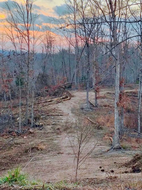 Lot 2 Woodland Est, Irvine, KY, 40336 | Card Image