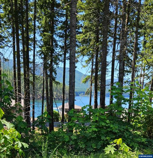 80 Lake Ave E, Detroit, OR, 97342 | Card Image