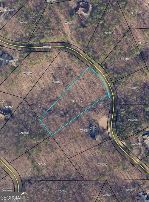 736 Plum Lane, Clarkesville, GA, 30523 | Card Image