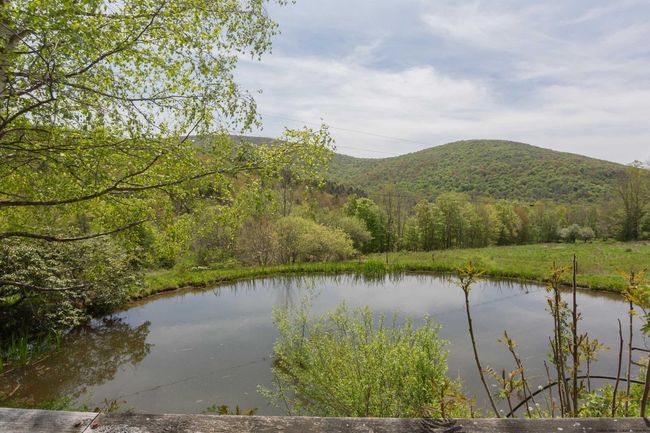 14 - 1214 Armstrong Rd, House other with 7 bedrooms, 4 bathrooms and null parking in Arkville NY | Image 5