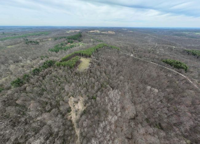 0 Don Wiley Rd, Home with 0 bedrooms, 0 bathrooms and null parking in Caldwell OH | Image 29