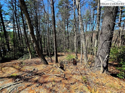 TBD (lots 5 & 6) River Ridge Rd, Boone, NC, 28607 | Card Image