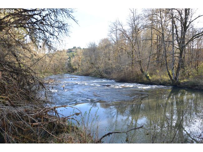 1397 State Route 506, House other with 4 bedrooms, 3 bathrooms and 4 parking in Vader WA | Image 36