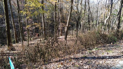 16 Lakeview Dr, Smithville, TN, 37166 | Card Image