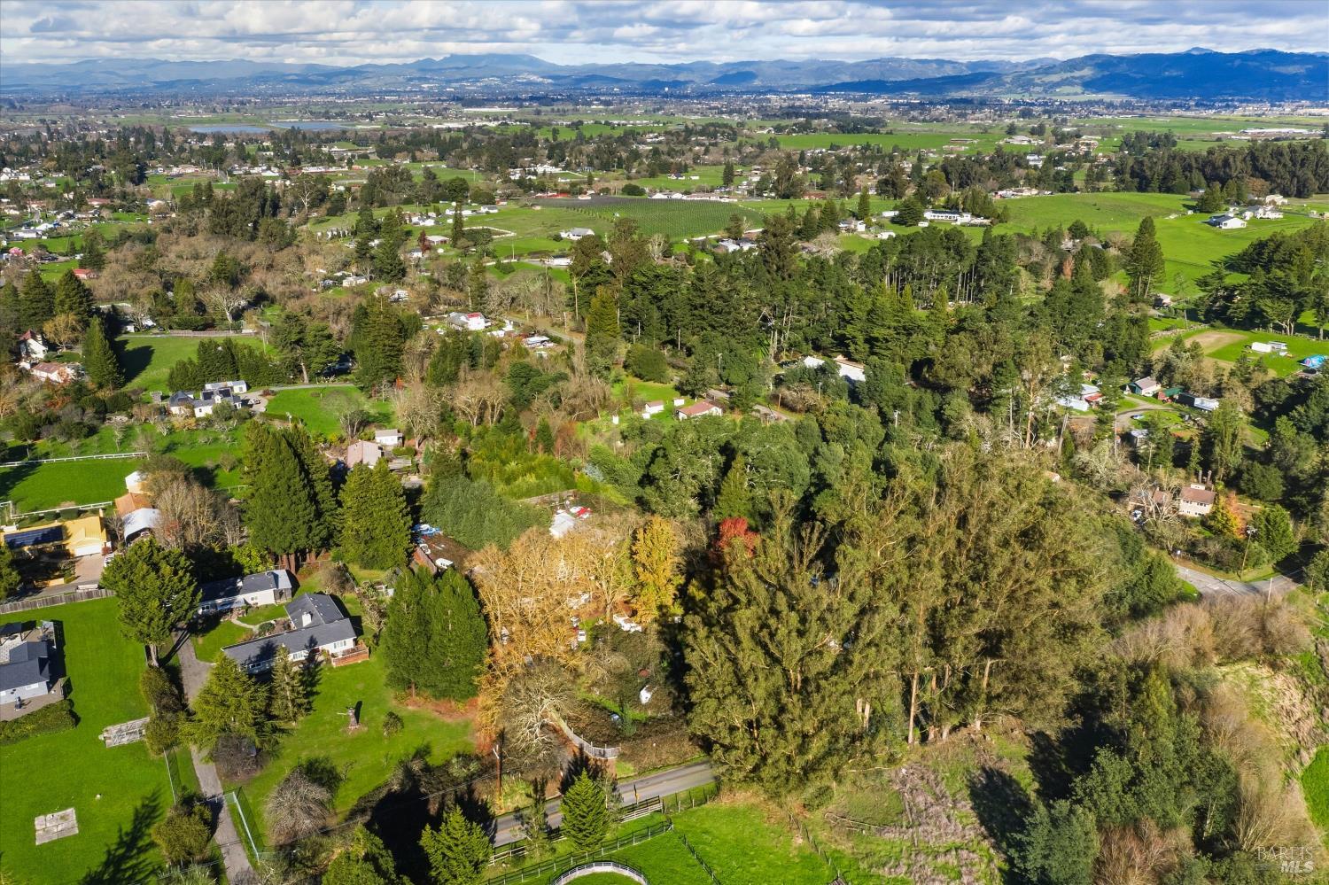Residential in Sebastopol 5