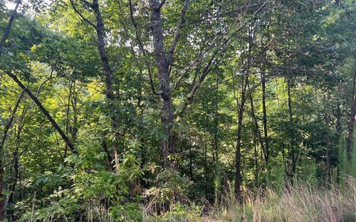 LOT 11 Preserve At Beach Mountain, Brasstown, NC, 28902 | Card Image