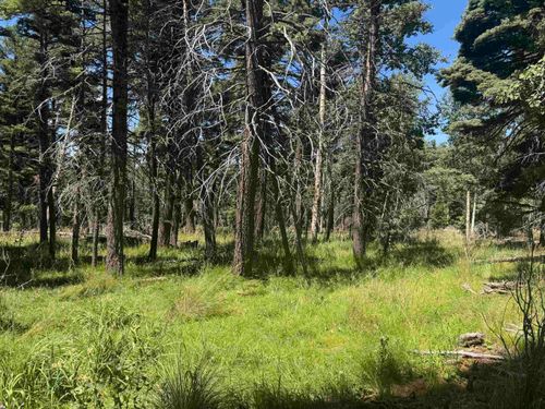 Lot 1172 Cheerful Way, Angel Fire, NM, 87710 | Card Image