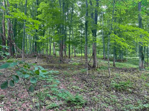 11599 S Tower, Maple City, MI, 49664 | Card Image