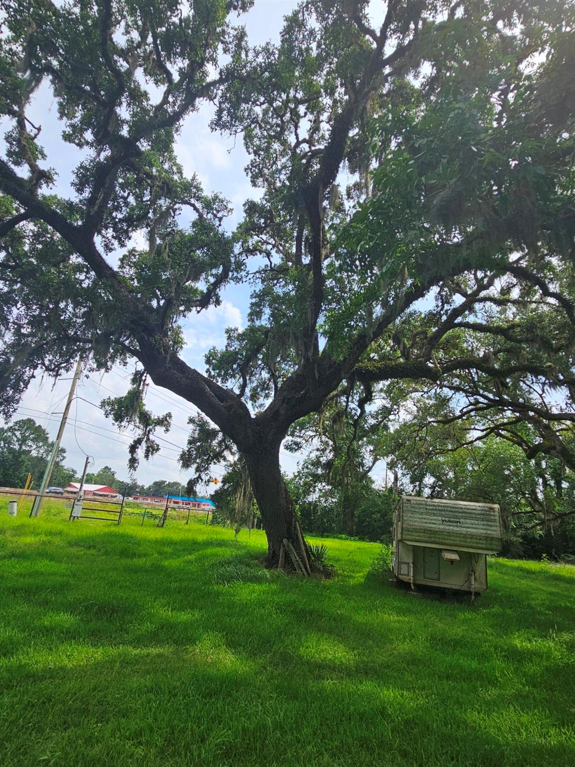 Land in Sweeny 4