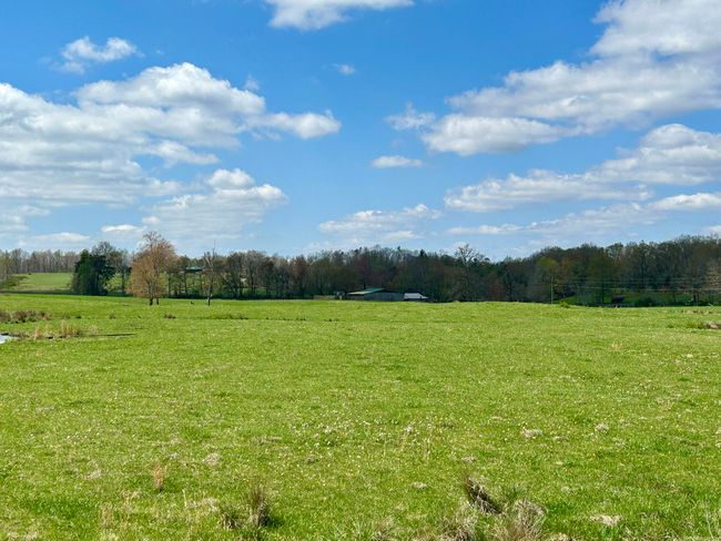 428 Dick Wilson Rd, Home with 0 bedrooms, 0 bathrooms and null parking in Strunk KY | Image 12