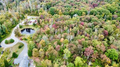 Fall colors on your own property | Image 2