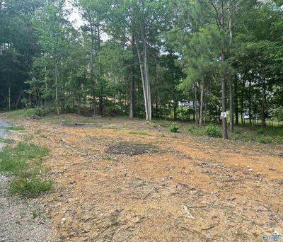 LOT-66 - 1725 County Road 182, Home with 0 bedrooms, 0 bathrooms and null parking in Cedar Bluff AL | Image 1