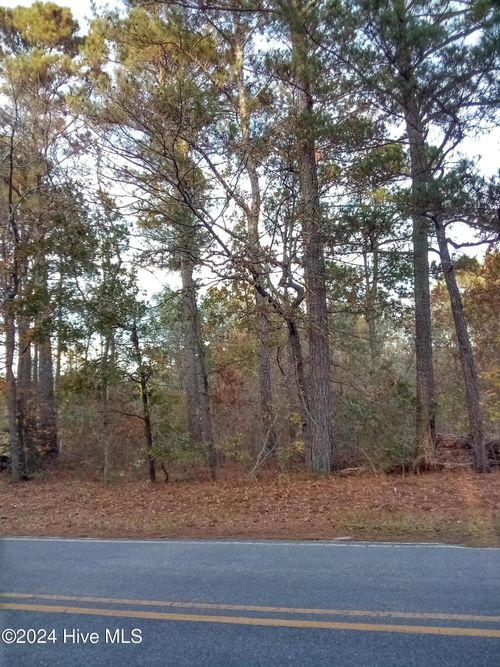 Lot #1 Stelleys Tabernacle Church Road, Rockingham, NC, 28379 | Card Image