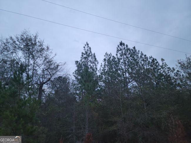 121 Case Rd, Home with 0 bedrooms, 0 bathrooms and null parking in Sylvester GA | Image 6