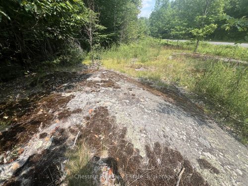 na Juddhaven Road, Muskoka Lakes, ON, P0B1J0 | Card Image