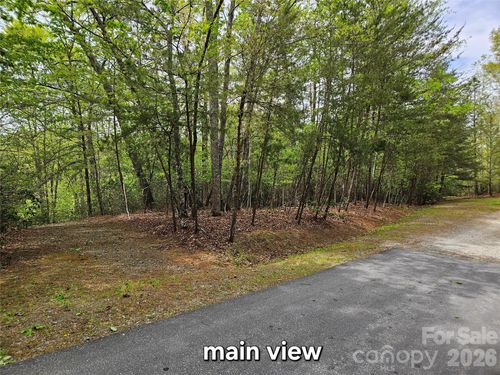 81 N Mill Ridge Road, Nebo, NC, 28761 | Card Image