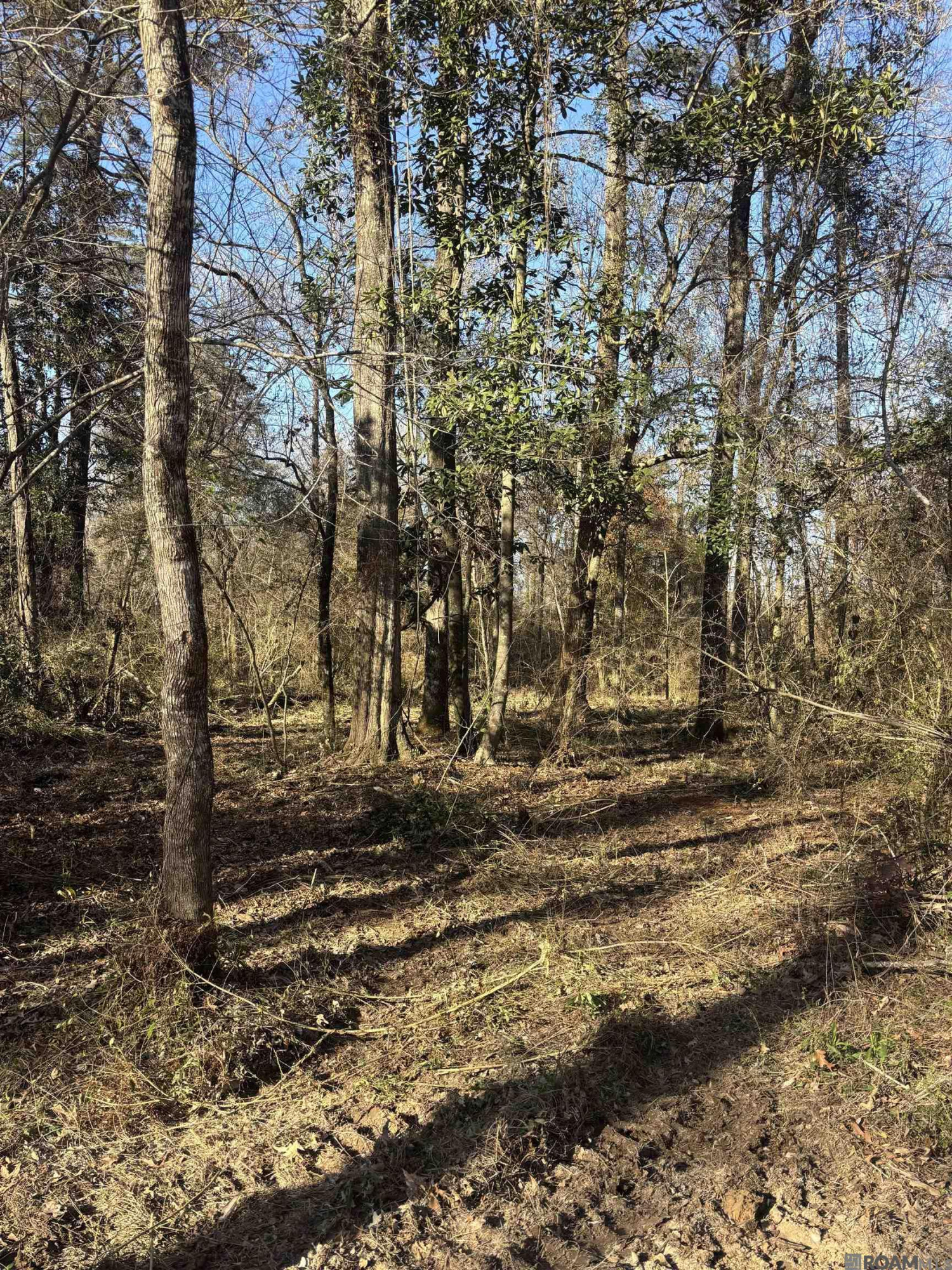 Land in Denham Springs