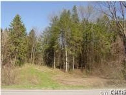 0 Perryville Rd, Canastota, NY, 13032 | Card Image