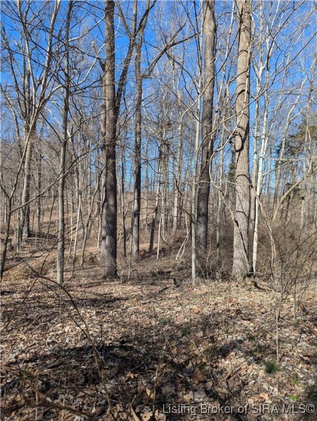 6140 N White River Rd, Home with 6 bedrooms, 2 bathrooms and null parking in Campbellsburg IN | Image 35
